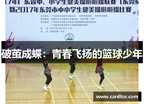 破茧成蝶：青春飞扬的篮球少年